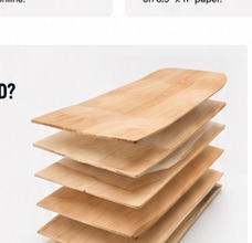 Exploded stack of skateboard veneer plies reference photo
